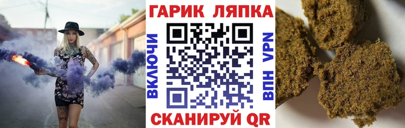 ГАШ Premium  Хасавюрт 