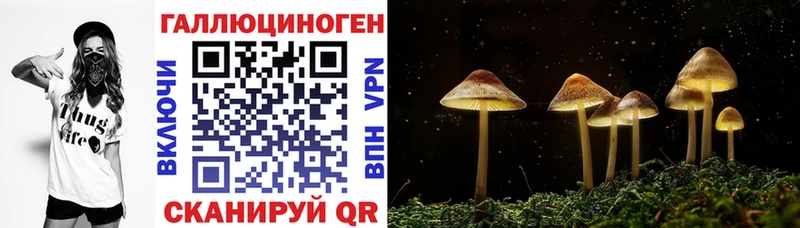 Псилоцибиновые грибы мухоморы  MEGA как войти  Хасавюрт 